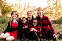 Stephanie's Family